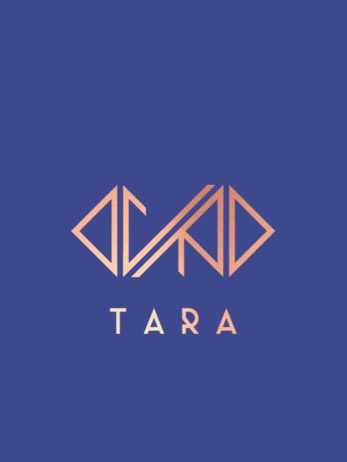 TARA — branding, photography and website for The Artisan Row Accessories